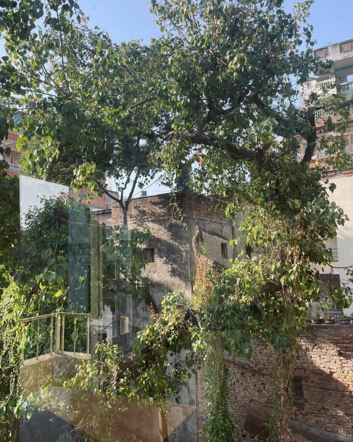 Rooftop Studio And 2Bhk Apartments In Kathmandu'S Most Happening Place Esterno foto